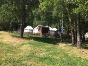 Yurts in Leznaya Skazka Resort nearby Almaty, Kazakhstan